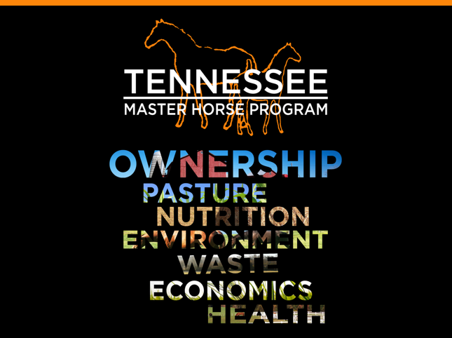 Tennessee-Master-Horse-1